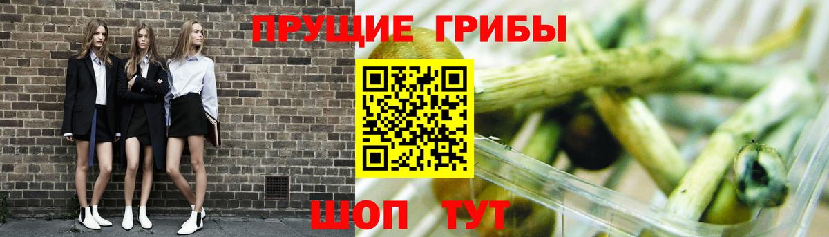 где купить наркоту  Псилоцибиновые грибы GOLDEN TEACHER  Галлюциногенные грибы ЛСД  Вход с VPN  Россошь 